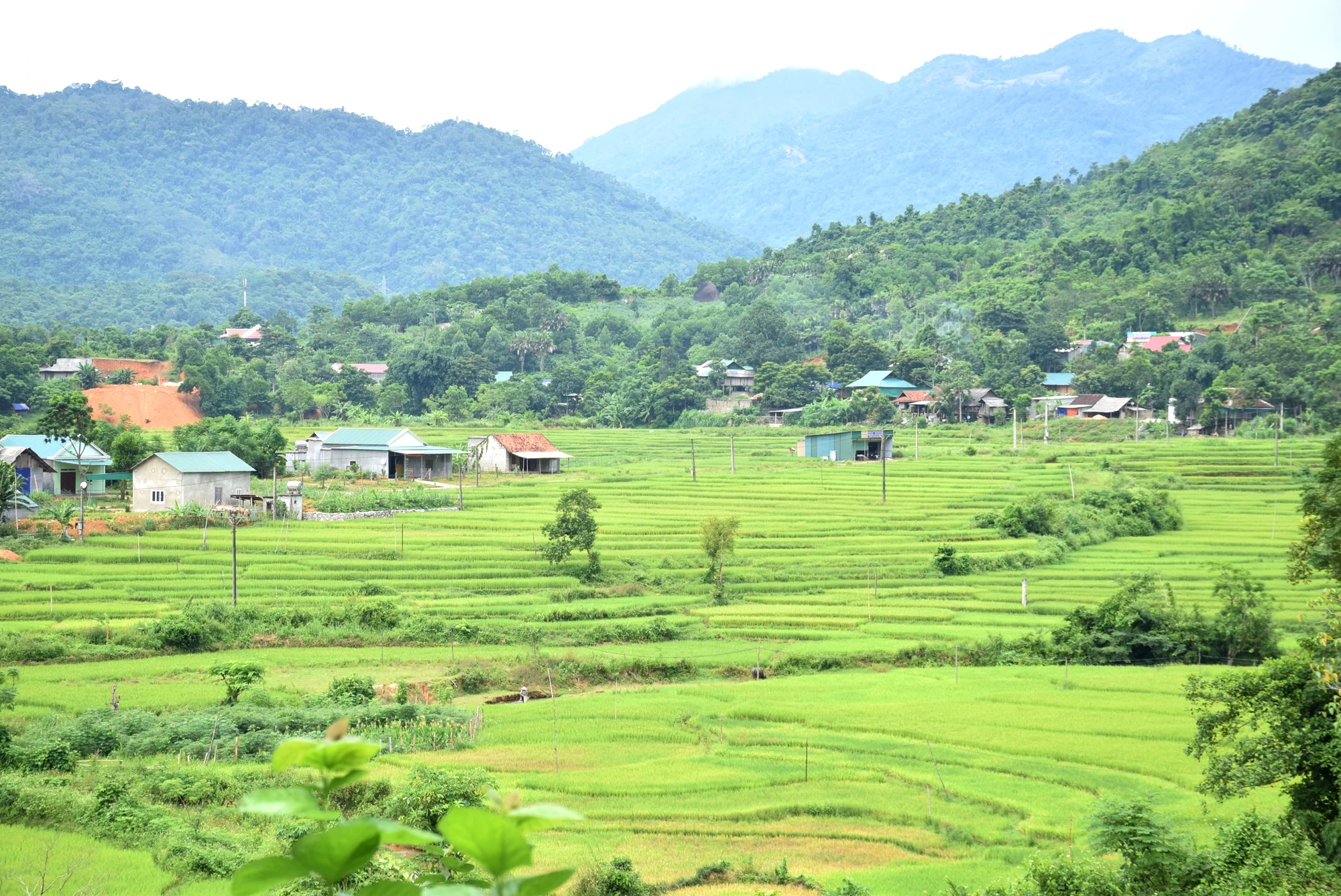 bna-vung-cao-huyen-que-phong-dang-ngay-cang-doi-moi-anh-xuan-hoang-6075.jpg.webp
