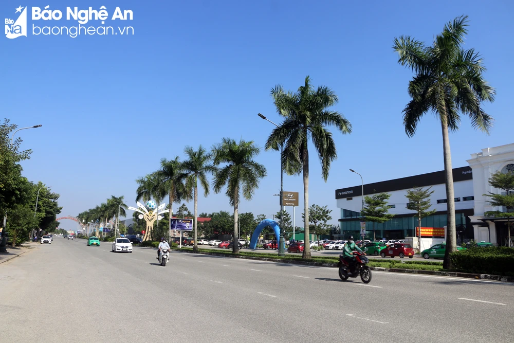 bna-cay-cau-vua-4286.jpg.webp
