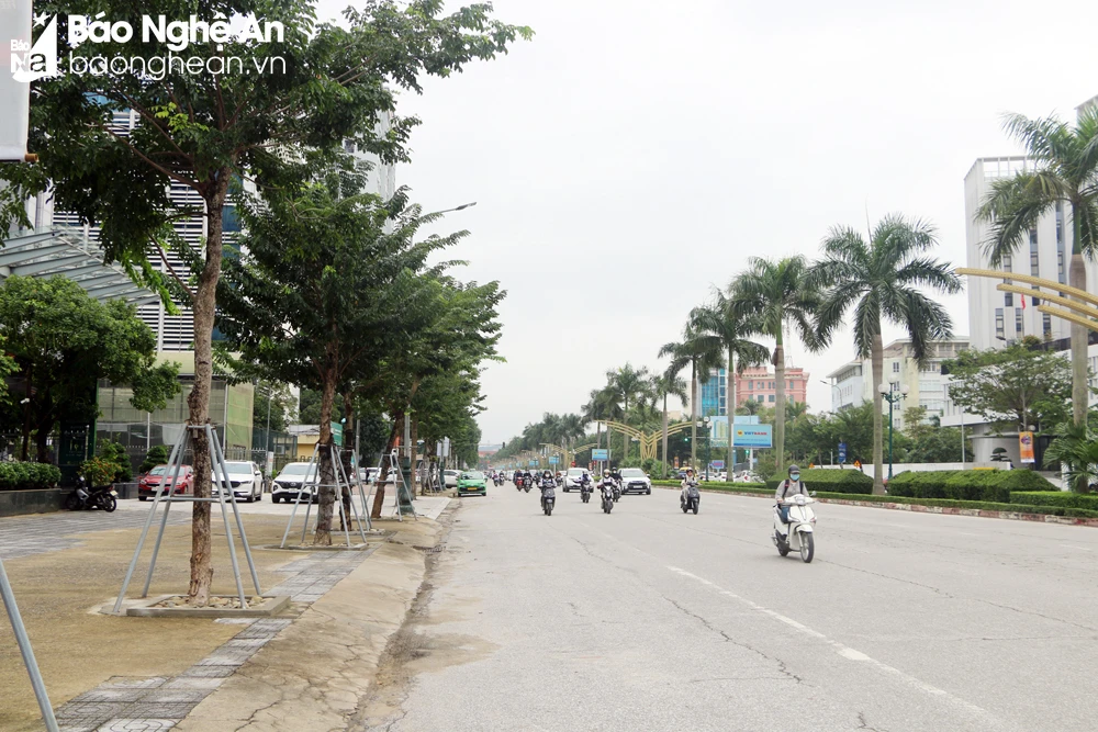 bna-cay-xanh-duoc-trong-moi-tren-duong-le-nin-6775.jpg.webp