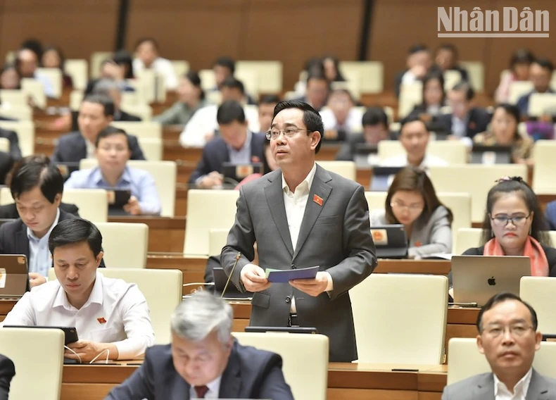 ndo_tr_huy-6069.jpg.webp