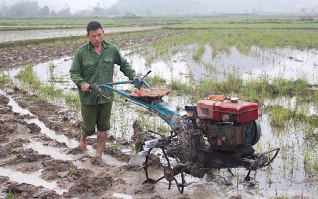 Ban Dân tộc tỉnh trả lời cử tri Lo Văn Cường, người uy tín bản Văng Môn, xã Tam Hợp, huyện Tương Dương về thu hồi máy cày