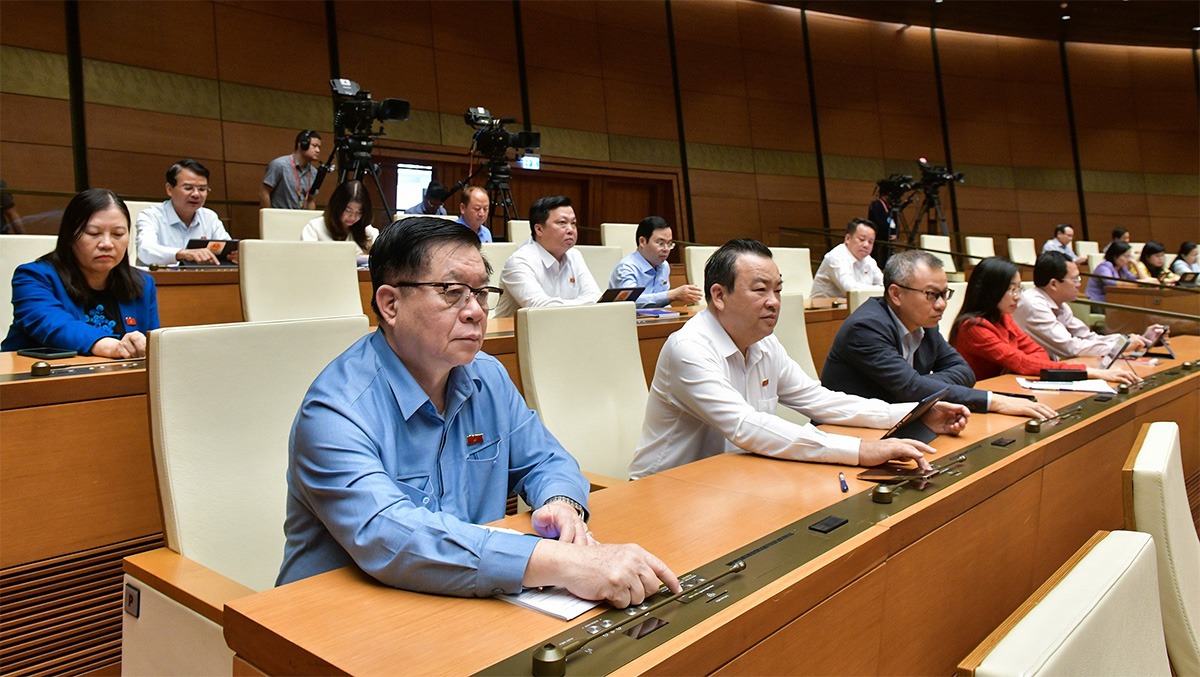dai-bieu-1701158940952.jpg