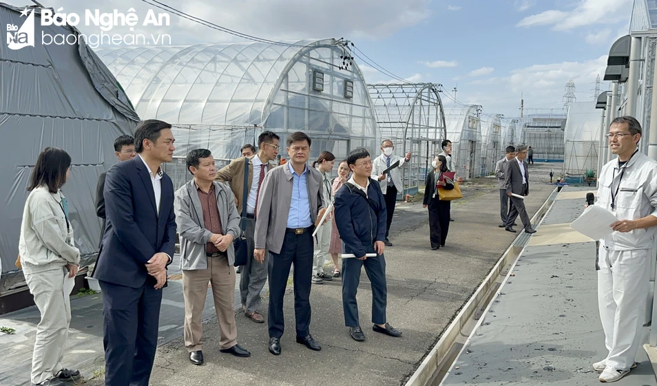 bna-dong-chi-hoang-nghia-hieu-va-doan-cong-tac-tinh-nghe-an-tham-quan-khu-nong-nghiep-3569.jpg.webp