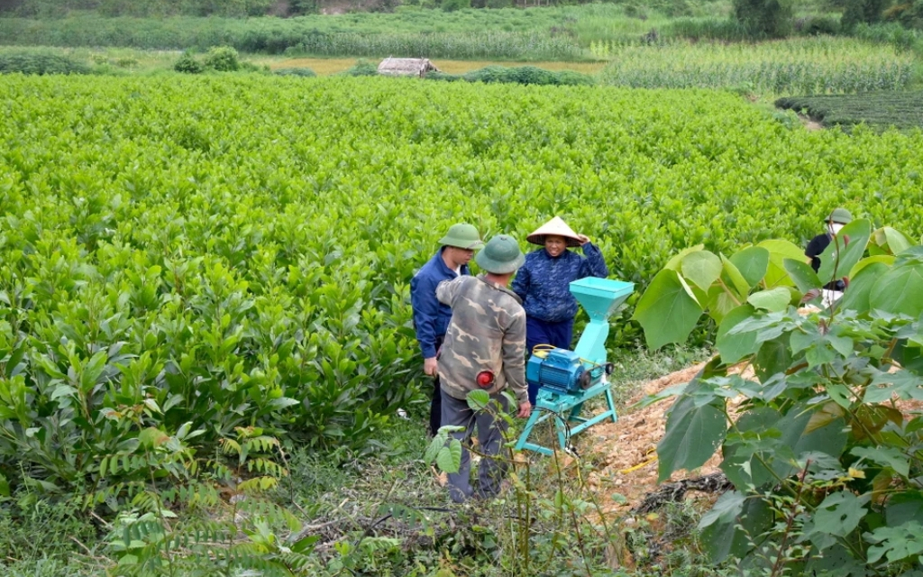 Một số cử tri muốn làm rõ thời hạn bàn giao, cấp giấy chứng nhận quyền sử dụng đất có nguồn gốc từ nông, lâm trường