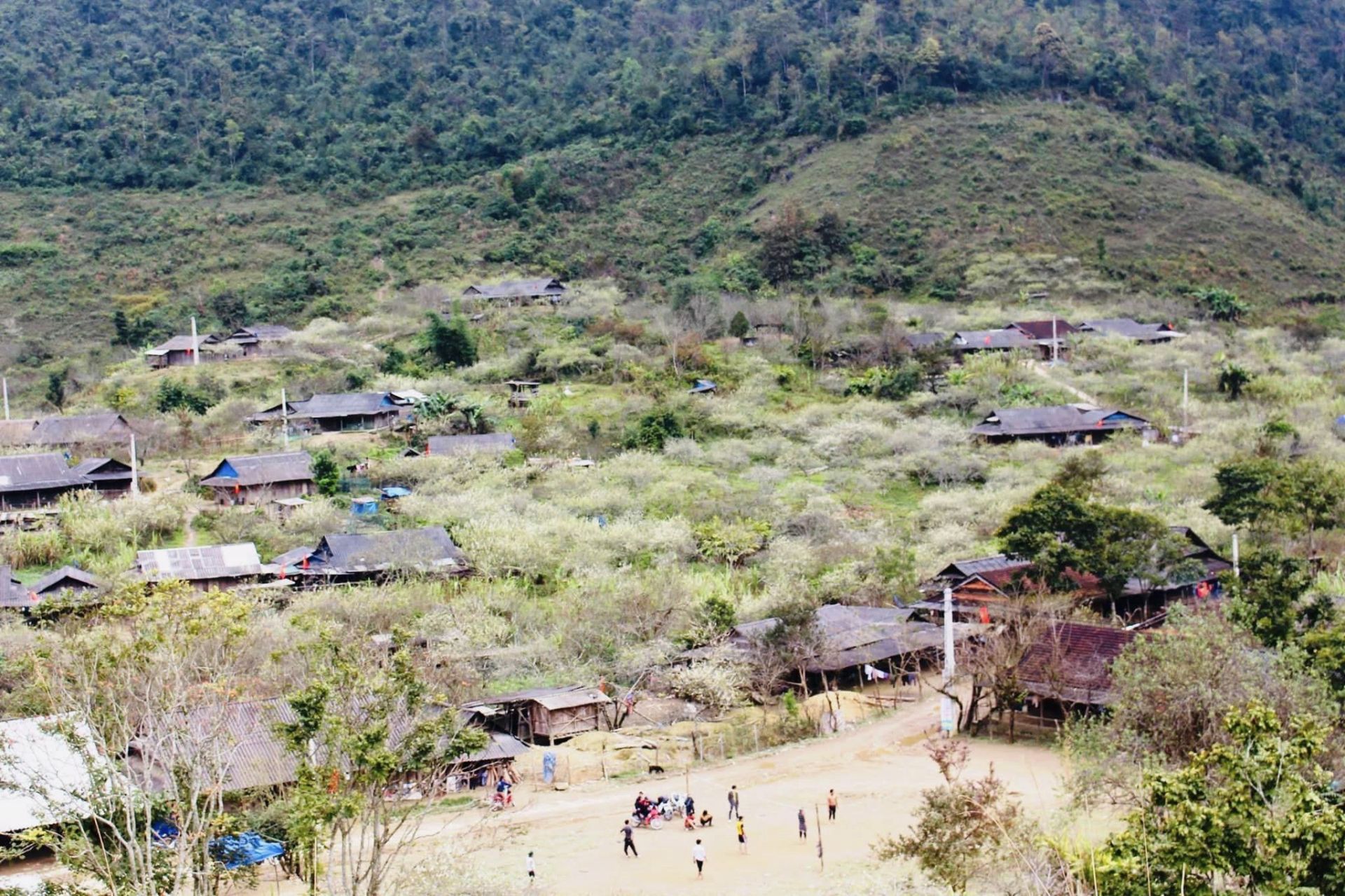 Đường vô xứ Nghệ quanh quanh...