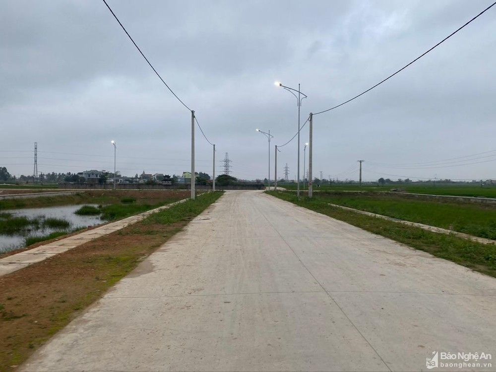 Bộ Tài nguyên và Môi trường trả lời kiến nghị cử tri về sửa đổi, hoàn thiện quy định về đấu giá quyền sử dụng đất và nguyên tắc giao đất nông nghiệp