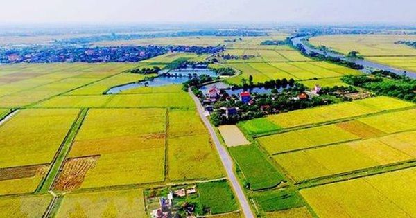 Công nhận quyền đối với hộ gia đình, cá nhân không có giấy tờ về quyền sử dụng đất