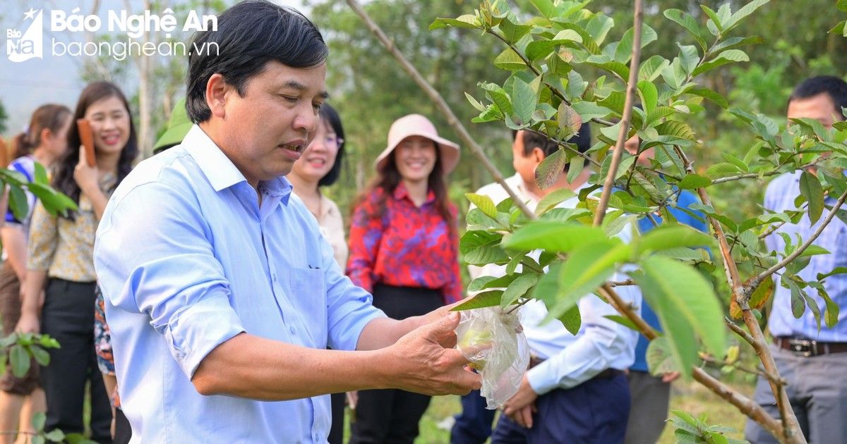 HĐND tỉnh giám sát chuyên đề về chính sách phát triển miền núi tại Tương Dương