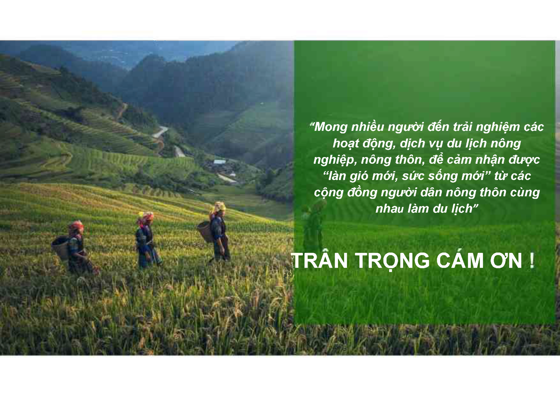 PPT-du-lich-nong-thon-BT_v2---0014.png