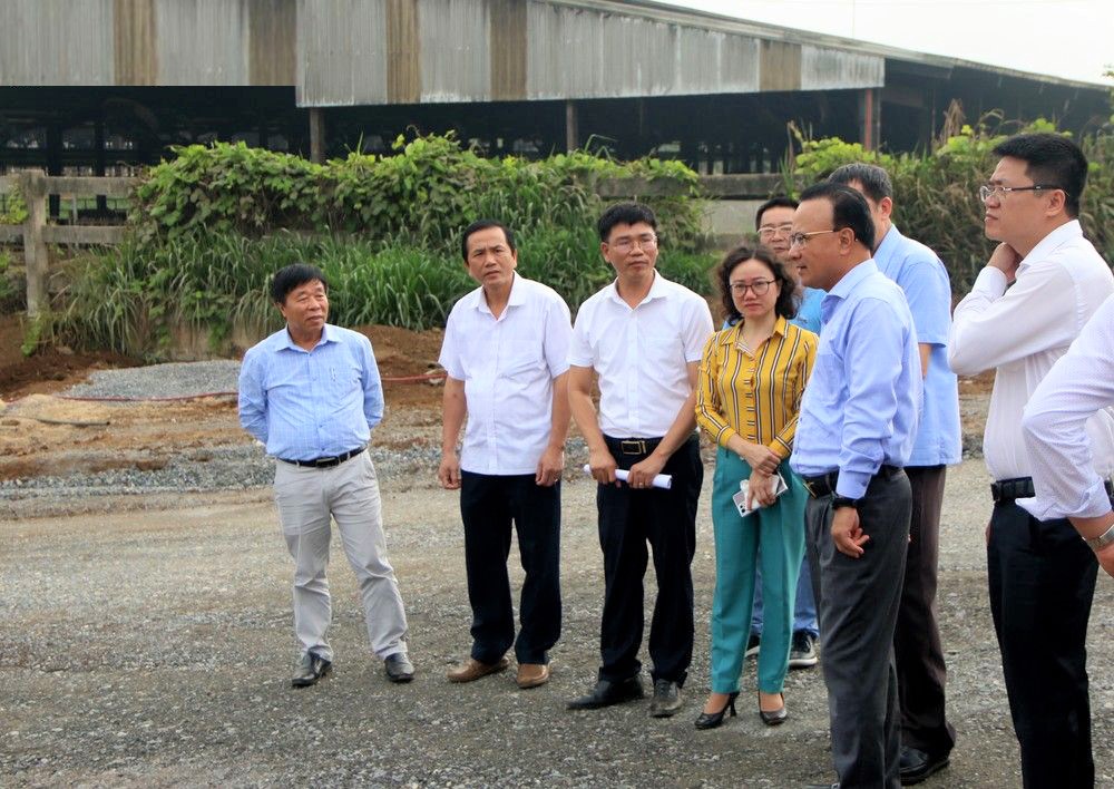 Triển khai bài bản, chặt chẽ, hiệu quả chương trình giám sát