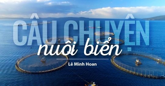 Câu chuyện nuôi biển