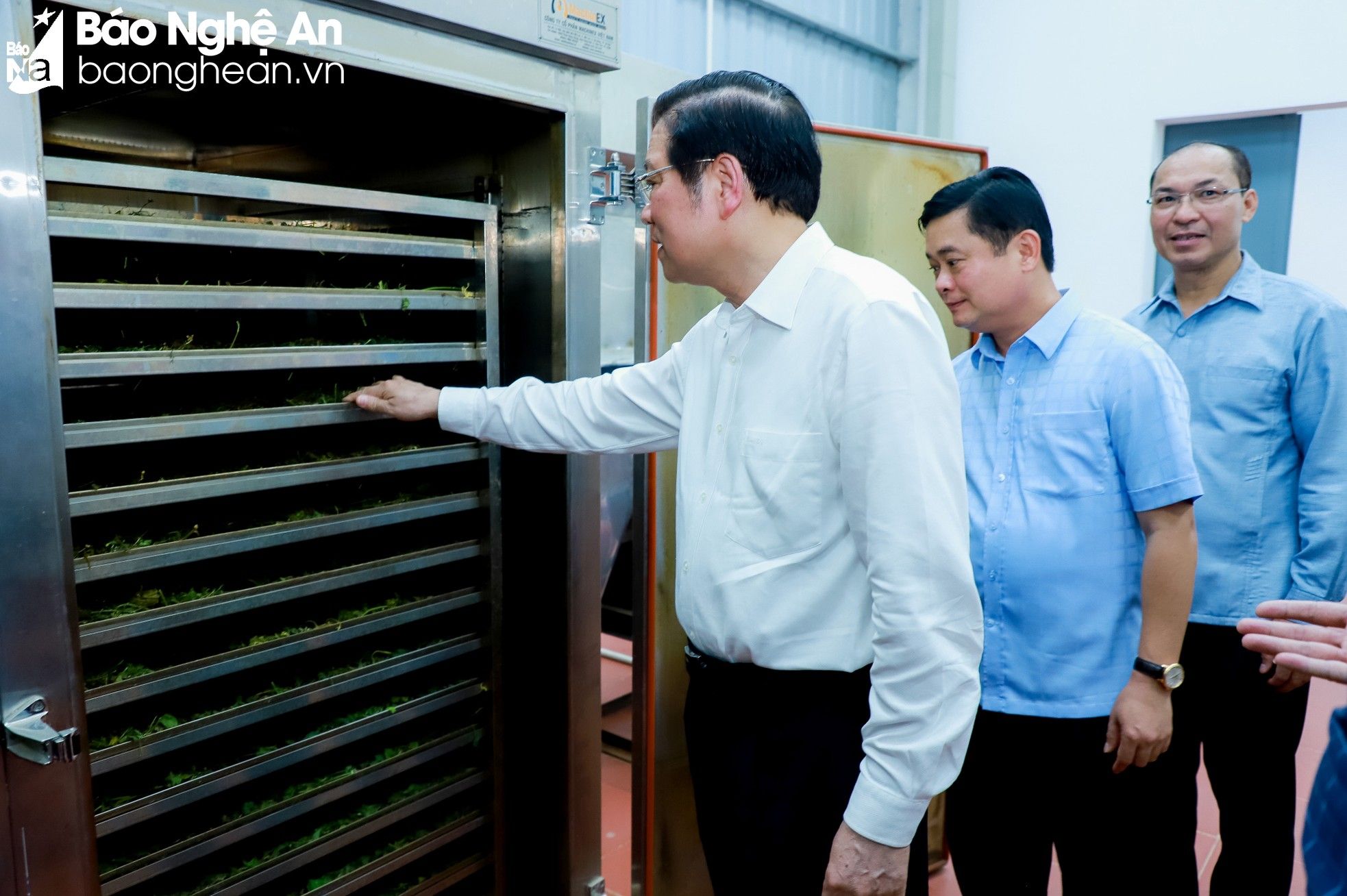 bna-7-tham-cho-duoc-lieu-3765.jpg