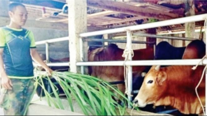 Bài 1: Tạo động lực để người dân vươn lên thoát nghèo