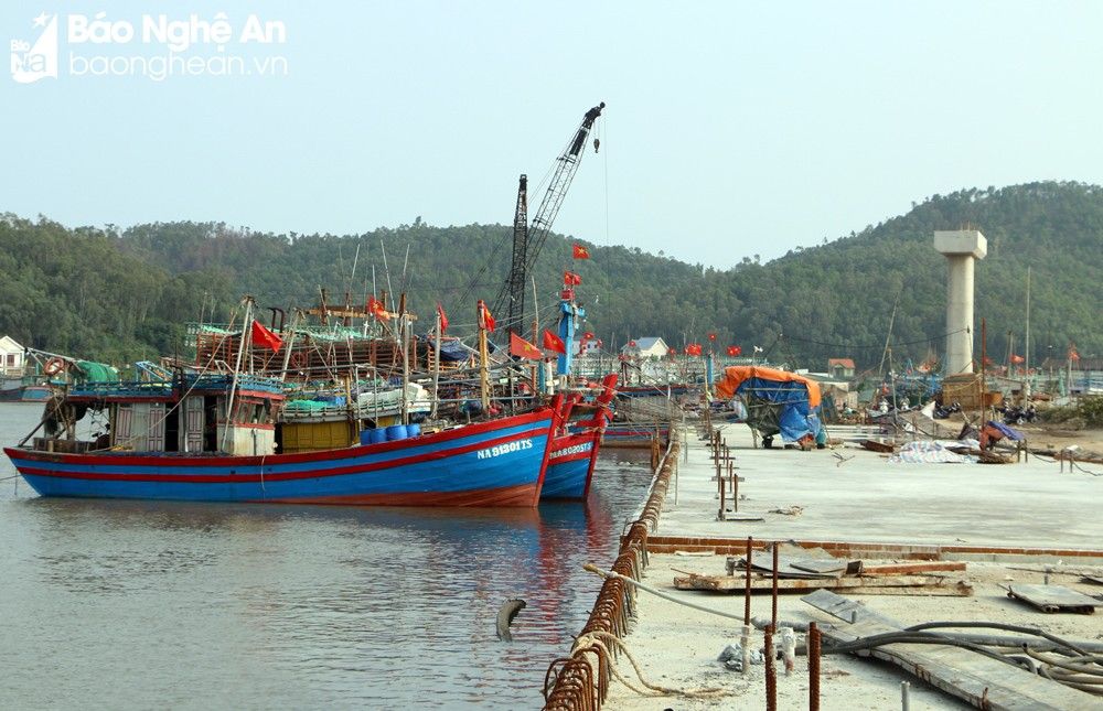 bna-bo-nam-cang-lach-quyen-duoc-dau-tu-gan-200-ty-dong-de-nang-cap-nham-thuc-hien-muc-tieu-tro-thanh-trung-tam-hau-can-nghe-ca-cua-tinh-7722.jpg