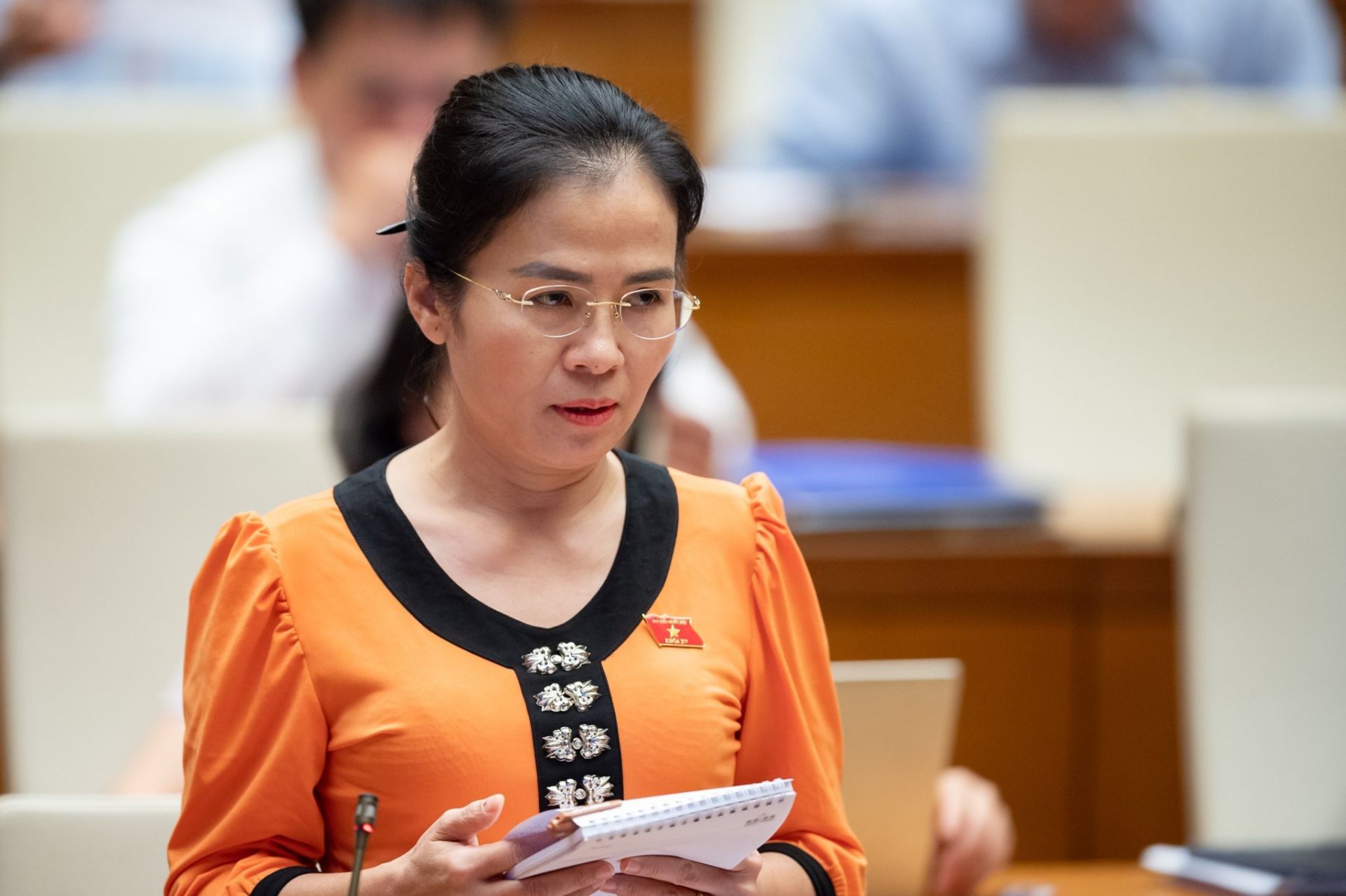 Đại biểu Võ Thị Minh Sinh thiết tha đề nghị Chính phủ giải quyết dứt điểm các tồn tại về bồi thường, hỗ trợ tái định cư Dự án Thủy điện Bản Vẽ