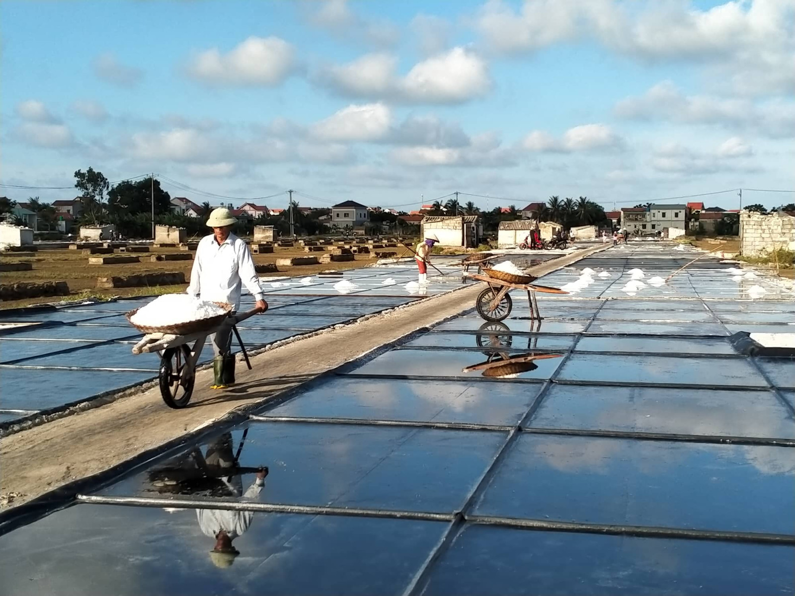 Sở Nông nghiệp và Phát triển nông thôn trả lời cử tri xã Quỳnh Long, huyện Quỳnh Lưu về chính sách hỗ trợ cho diêm dân