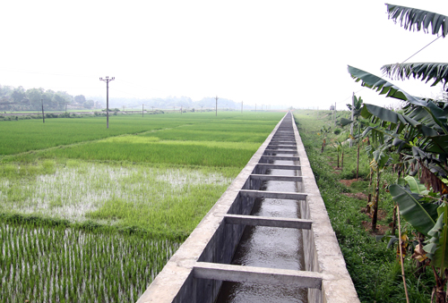 Sở Nông nghiệp và Phát triển nông thôn trả lời cử tri xã Hưng Thông, huyện Hưng Nguyên về Dự án cải tạo, nâng cấp trạm bơm và hệ thống kênh xã Hưng Lĩnh
