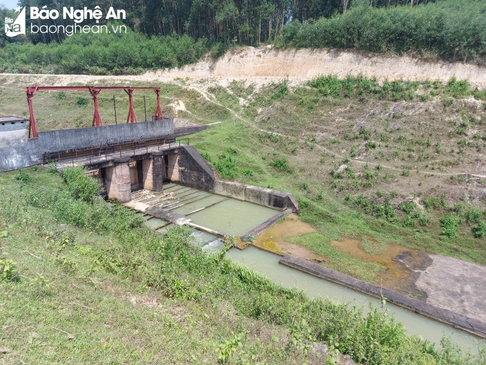 bna-hiep-hoa-nhat-lan-9200.jpg