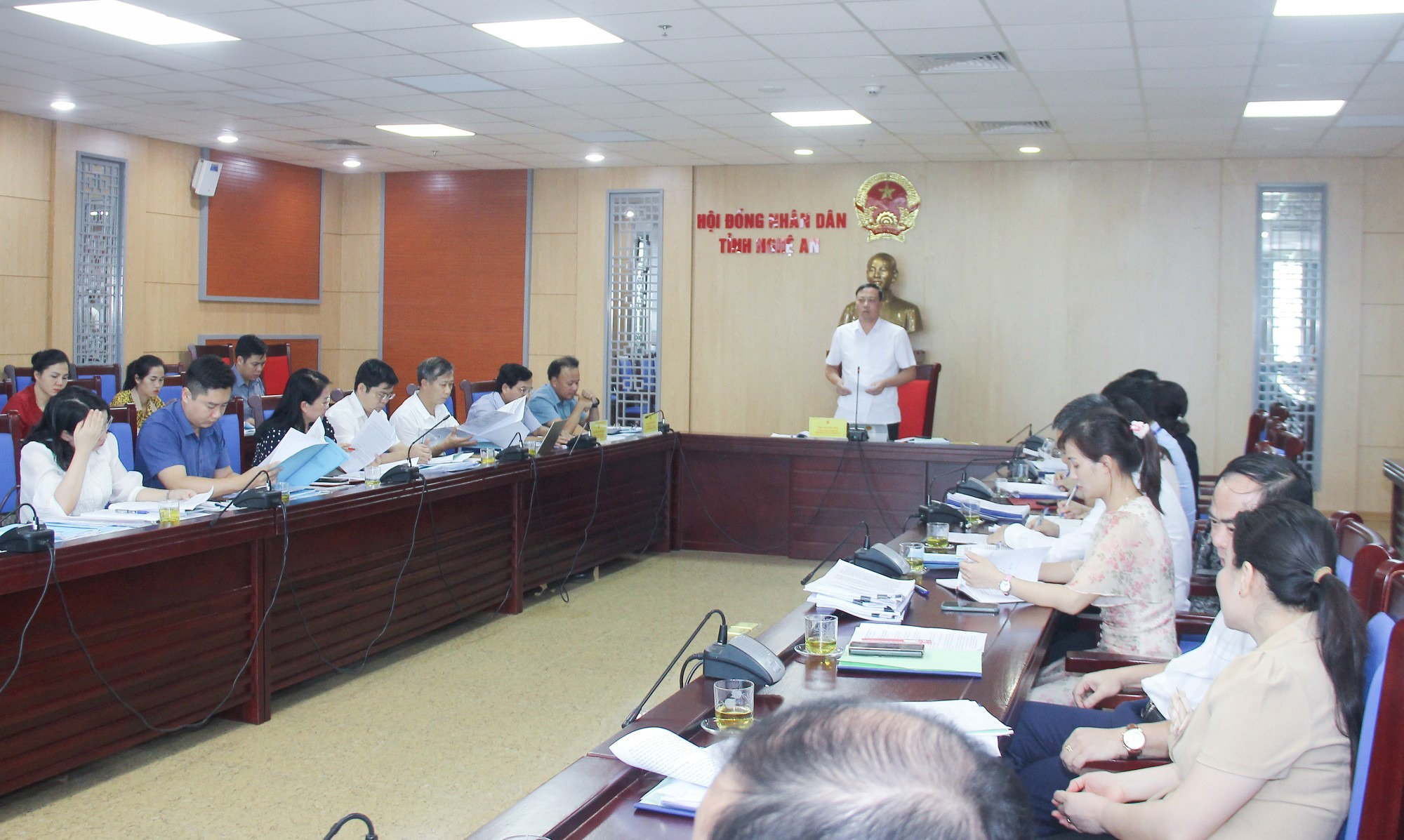 tham-tra-mot-so-du-thao-nghi-quyet-trinh-hdnd-tinh--n1.jpg