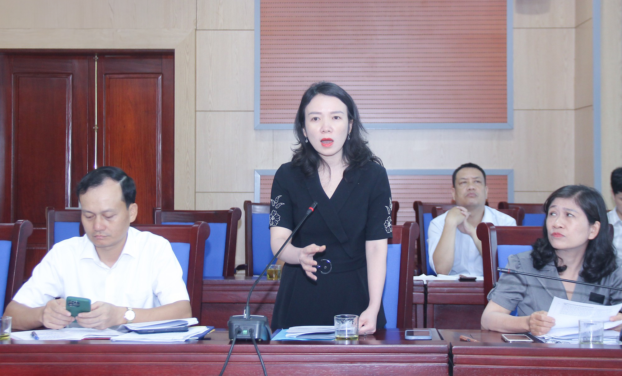 tham-tra-mot-so-du-thao-nghi-quyet-trinh-hdnd-tinh--n7.jpg