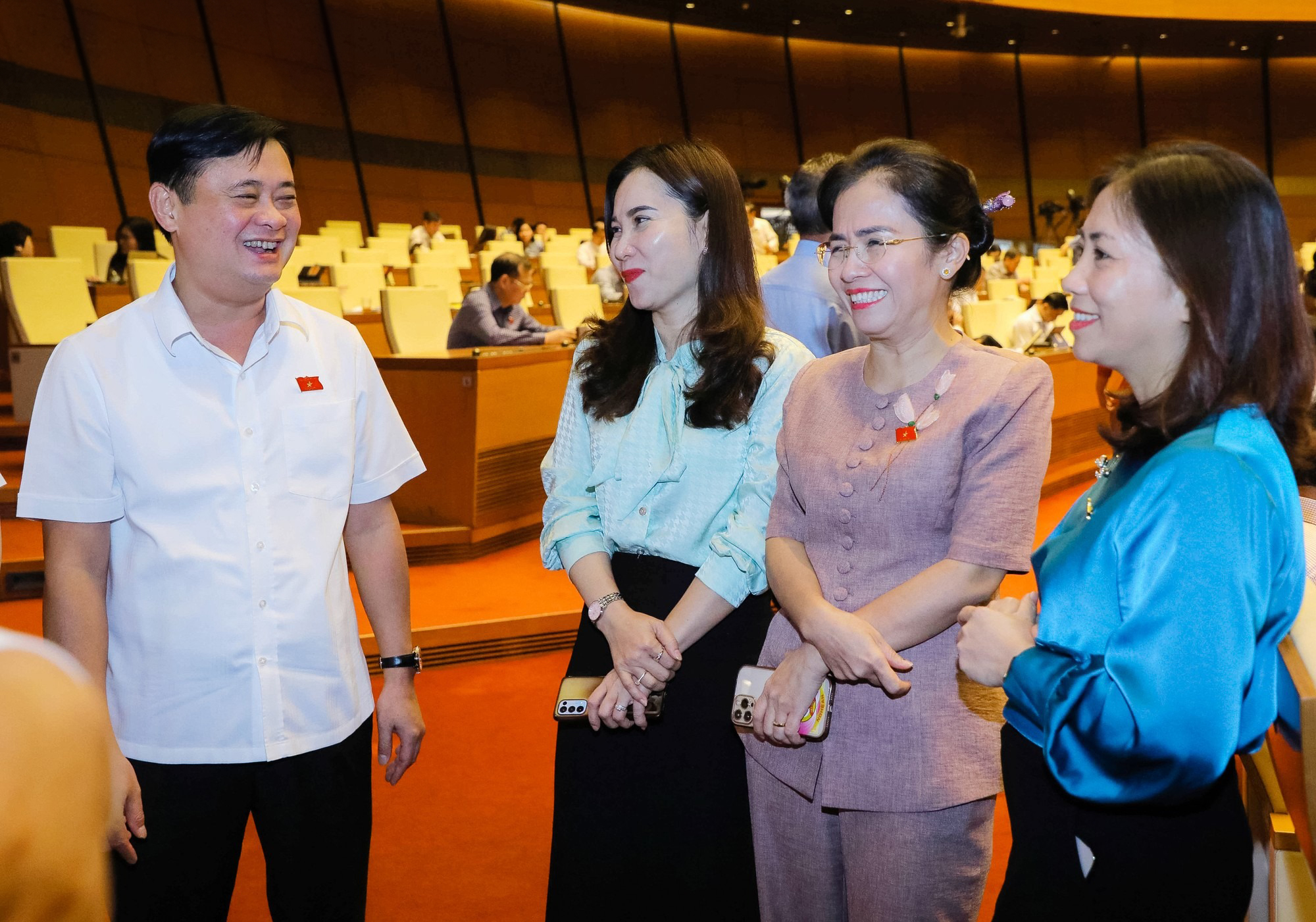 cac-chuc-danh-se-duoc-quoc-hoi-hdnd-cap-tinh-cap-huyen-lay-phieu-tin-nhiem-bo-phieu-tin-nhiem--n4.jpg