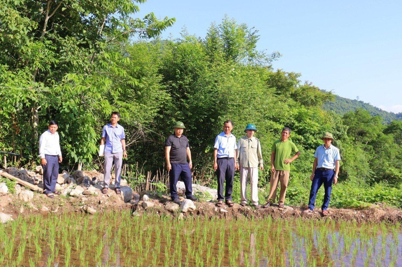 quyet-liet-doi-moi-cong-tac-chi-dao-giam-ngheo-ben-vung-o-nghe-an--n2.jpg
