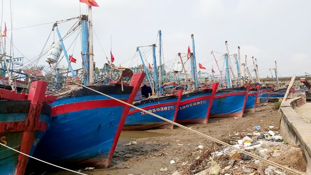 Nhiều dự thảo Nghị quyết về cơ chế, chính sách đặc thù đang được hoàn thiện để trình Hội đồng nhân dân tỉnh
