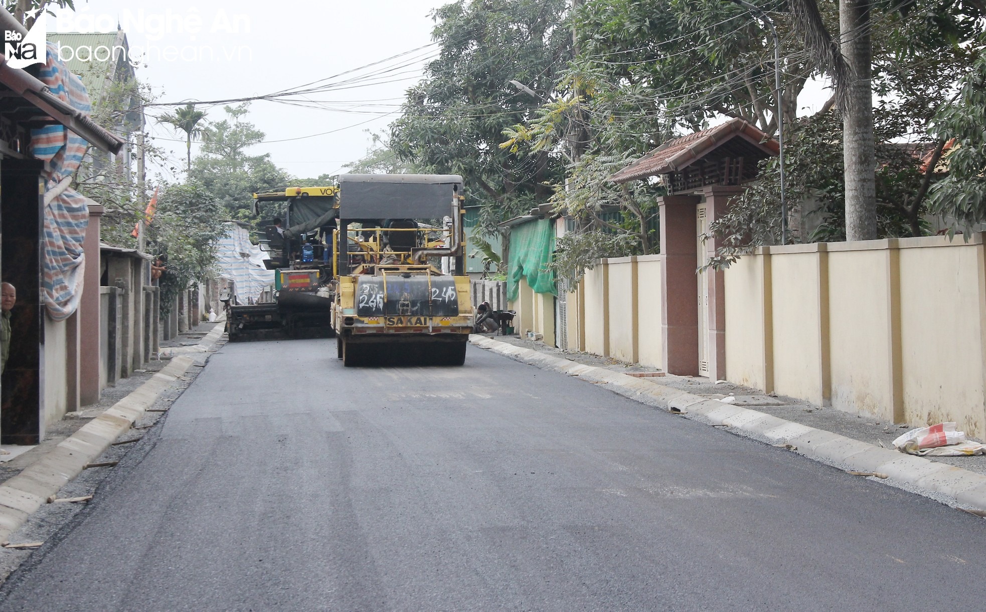 bna-mai-hoa-22-8608.jpg