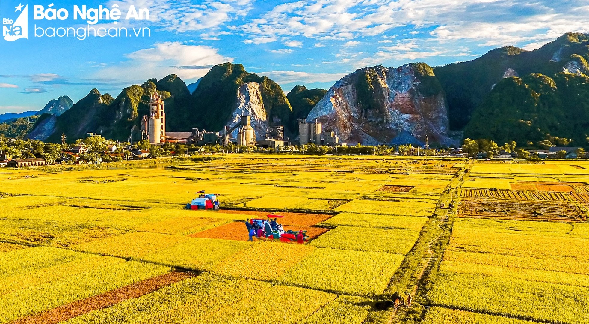 bna-ngay-mua-o-xa-hoi-son-huyen-anh-son-anh-quang-dung-2-3546.jpg