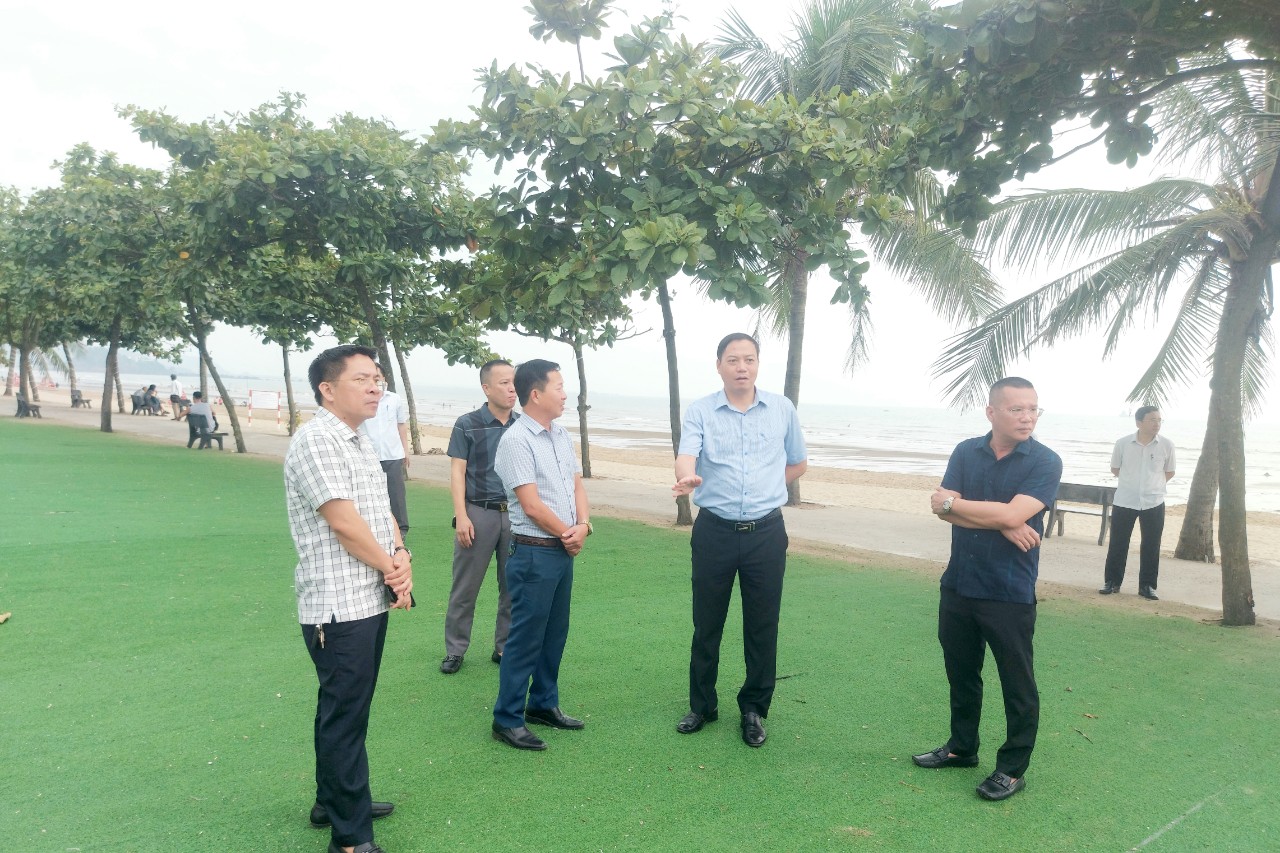 khao-sat-tinh-hinh-phat-trien-du-lich-tai-thi-xa-cua-lo--n1.jpg