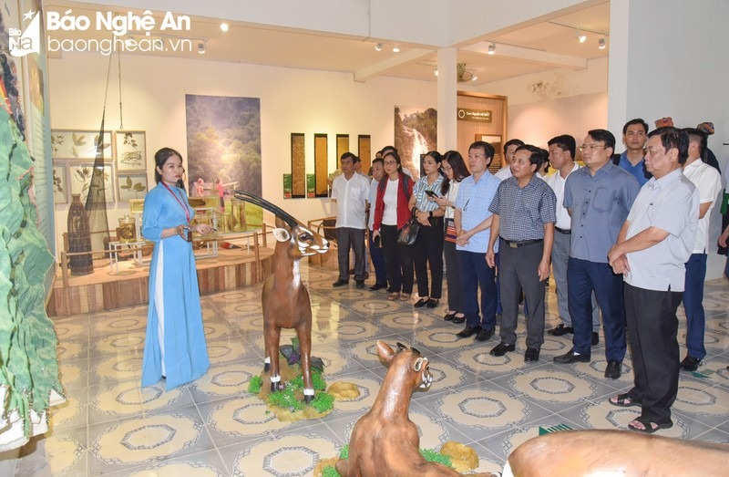 bna-gioi-thieu-anh-thanh-le-5710.jpg