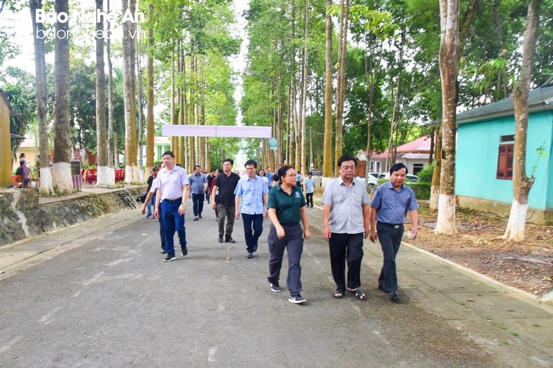 bna-tham-pu-mat-anh-thanh-le-930.jpg
