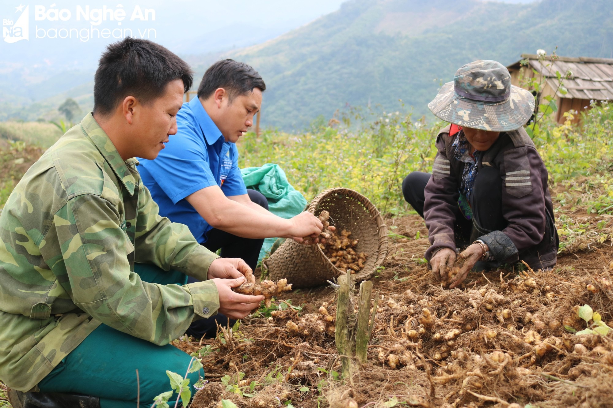 bna_anh_xong_ba_denh_cung_ba_con_nhan_dan_thu_hoach_gung15862781_20122019.jpg