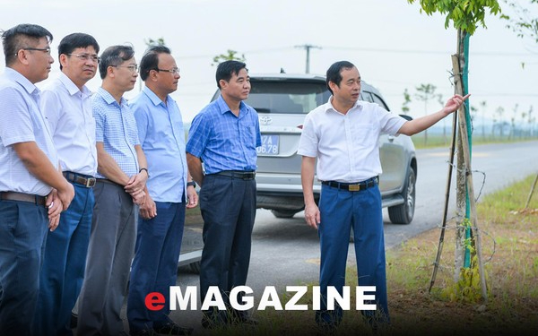 Thúc đẩy những quyết sách tạo động lực phát triển kinh tế - xã hội