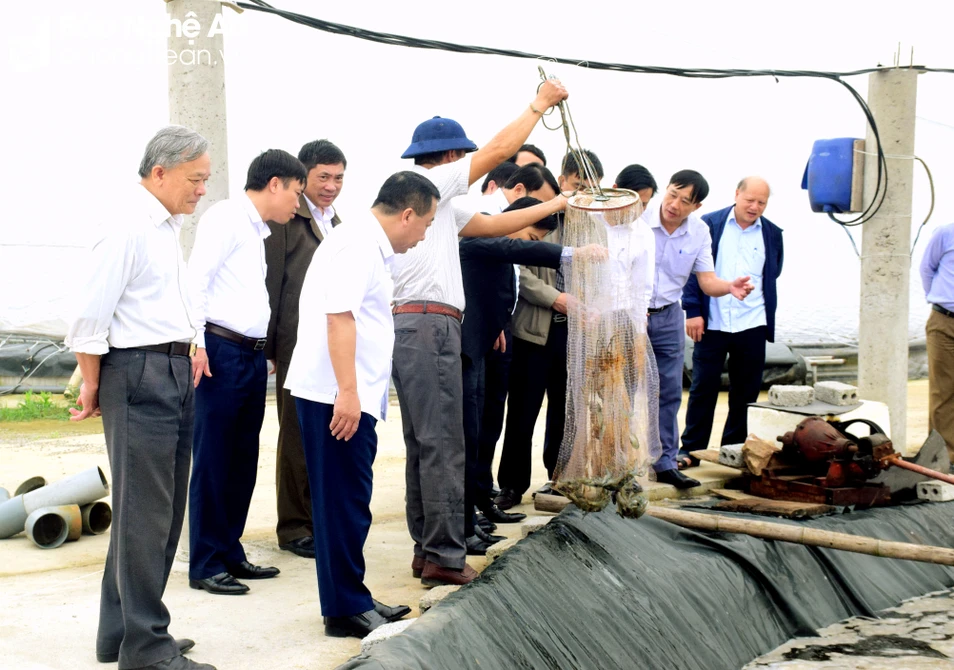 bna-doan-tham-tra-ubnd-tinh-tham-quan-mo-hinh-nuoi-tom-cong-nghe-cao-tren-dia-ban-xa-dien-trung-9824.jpg.webp