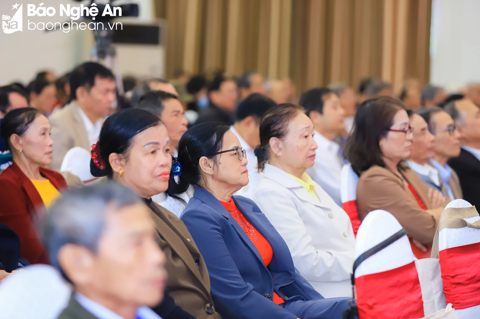 bna-img-8576-782.jpg.webp