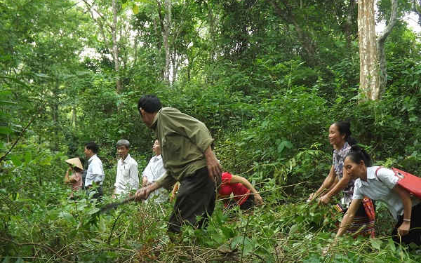 Sở Nông nghiệp và Phát triển nông thôn trả lời cử tri Ngân Đình Phòng, bản Huồi Mác, xã Lạng Khê, huyện Con Cuông về cấp gạo bảo vệ rừng
