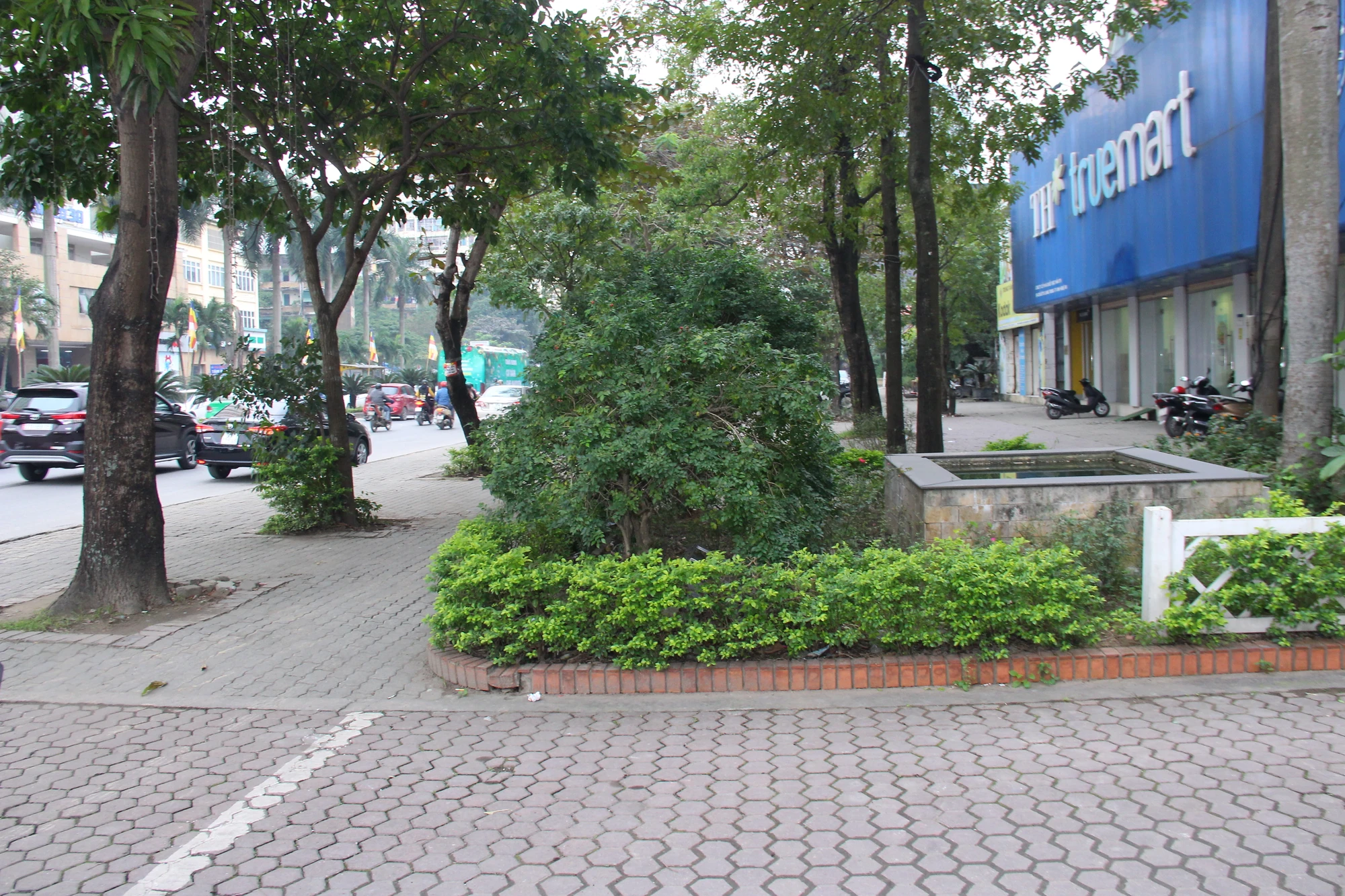 img-6447-1019.jpg.webp