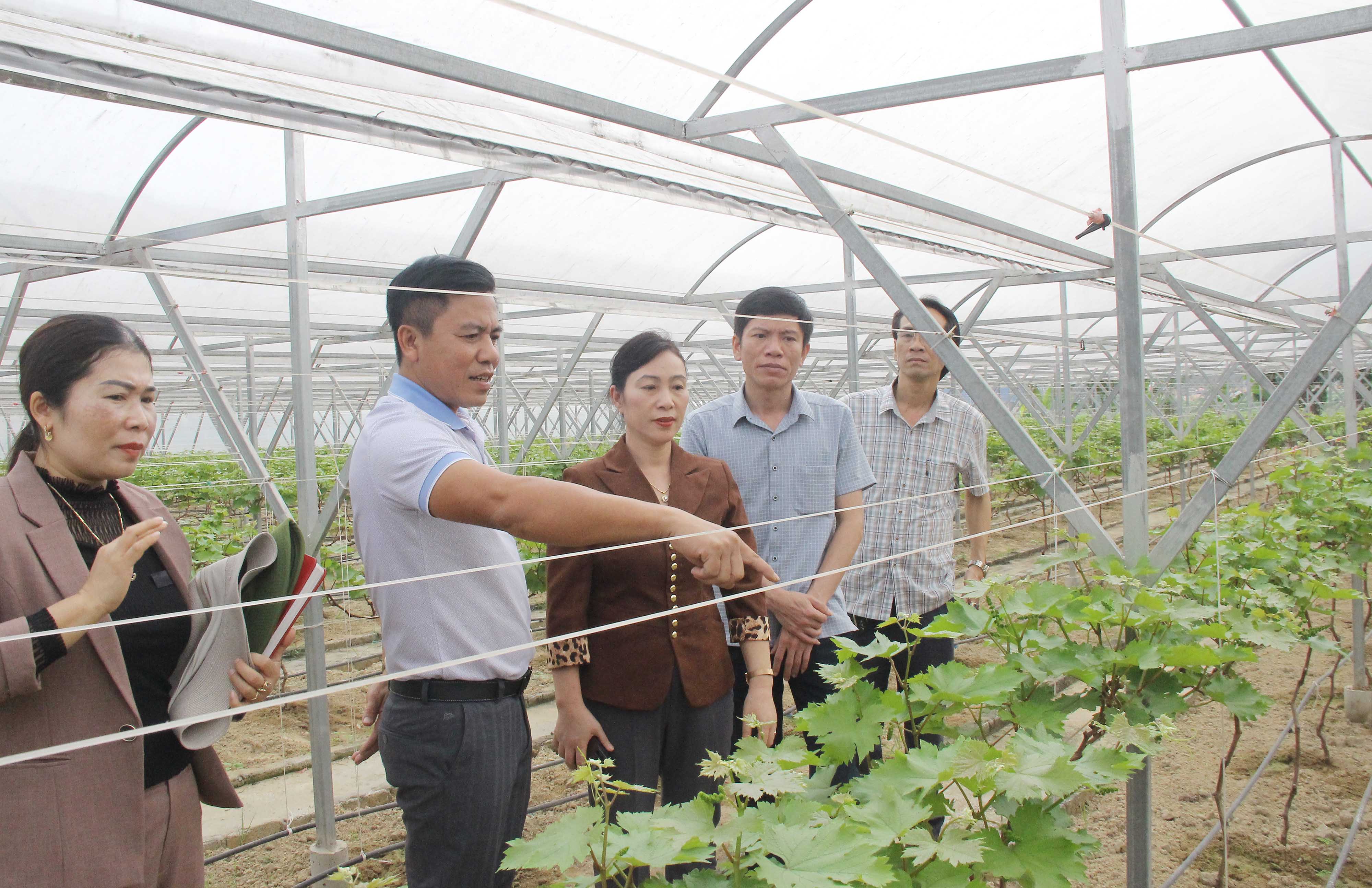 HĐND huyện Nghi Lộc: Nhiều vấn đề dân sinh được giải quyết qua các phiên giải trình