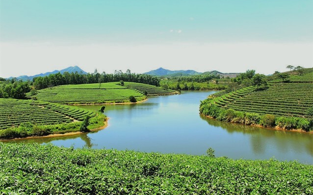 Trả lời kiến nghị cử tri về tiến độ xây dựng Dự án Khu du lịch, dịch vụ hỗn hợp và nghỉ dưỡng Cầu Cau