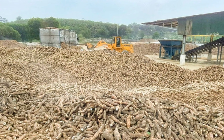 Phát huy tiềm năng xuất khẩu nông sản