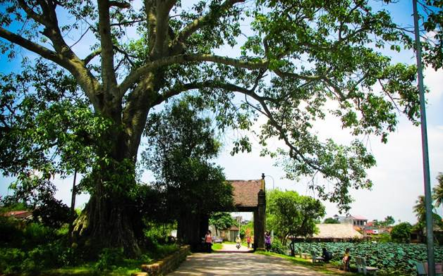 “hồn làng” trong phát triển kinh tế nông thôn