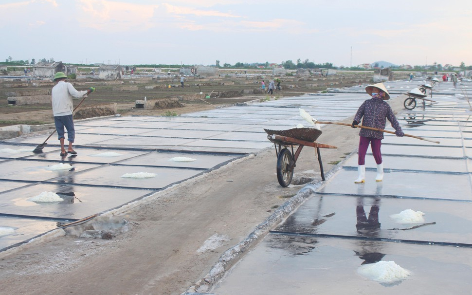 Sở Nông nghiệp và Phát triển nông thôn trả lời cử tri Phạm Minh Tuân, thôn Đức Long, xã Quỳnh Thuận, huyện Quỳnh Lưu về hỗ trợ thiệt hại đối với sản xuất muối