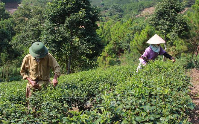 Bộ Lao động, Thương binh và Xã hội trả lời kiến nghị cử tri về đánh giá chỉ tiêu giảm nghèo bền vững