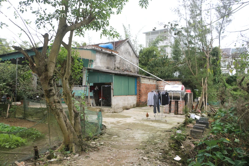 bna-ho-nha-ba-tran-thi-nghia-da-xuong-cap-1141.jpg.webp