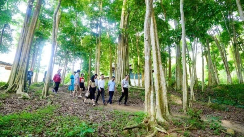 xa-yen-hoa-tuong-duong-co-canh-rung-sang-le-tuyet-dep-la-diem-du-lich-sinh-thai-hap-dan-anh-dinh-tuyen1-9541.jpg.webp
