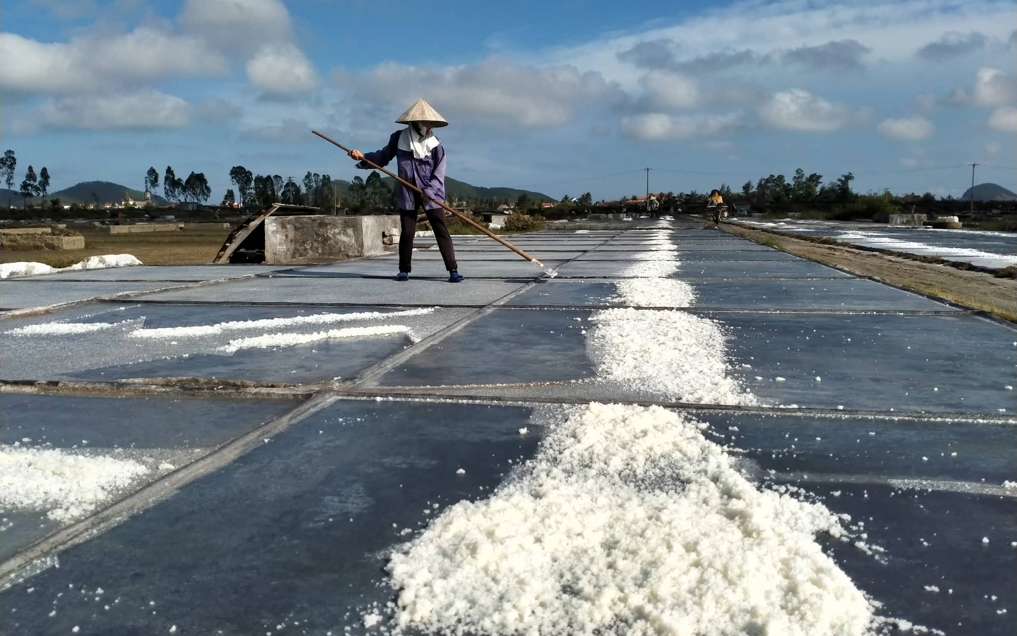 Sở Nông nghiệp và Phát triển nông thôn trả lời cử tri Nguyễn Văn Cừ, Ban quản lý HTX muối Minh Quang, xã An Hòa, huyện Quỳnh Lưu về hỗ trợ người dân sản xuất muối