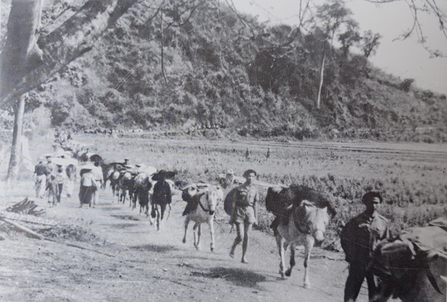 hau-can-chien-dich-dien-bien-phu-03_20240430125002.jpg