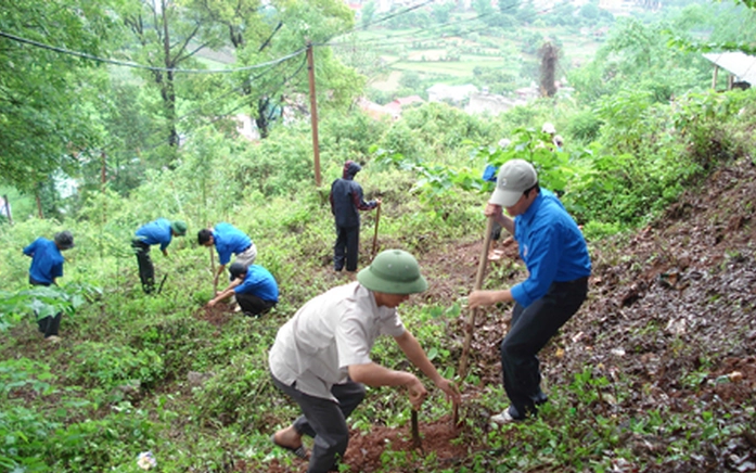 Sở Nông nghiệp và Phát triển nông thôn trả lời cử tri huyện Kỳ Sơn về giao rừng, gắn với giao đất và cấp giấy chứng nhận quyền sử dụng đất lâm nghiệp