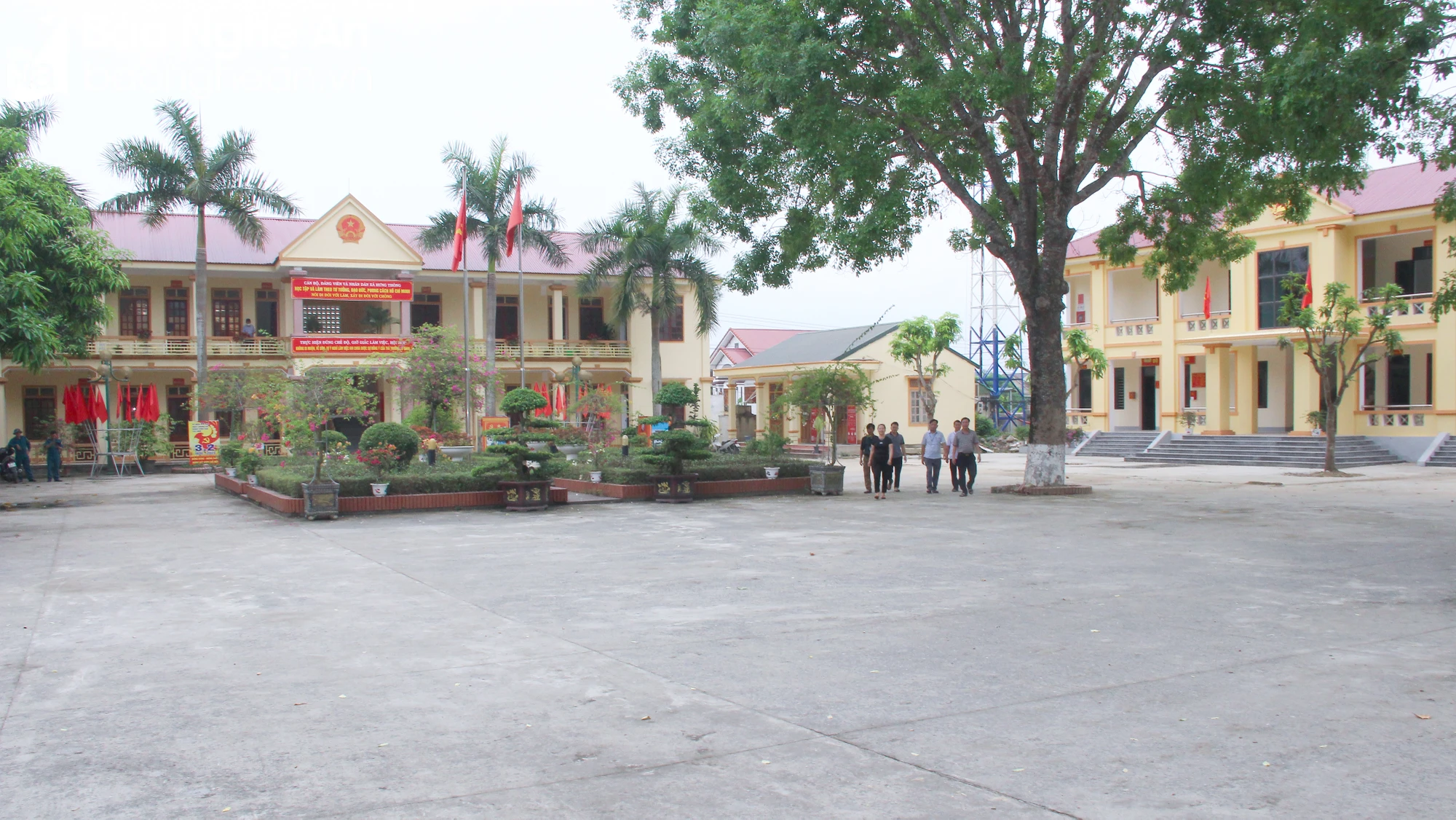 bna-tru-so-lam-viec-cua-xa-hung-thong-duoc-dau-tu-khang-trang-anh-mai-hoa-9746.jpg.webp